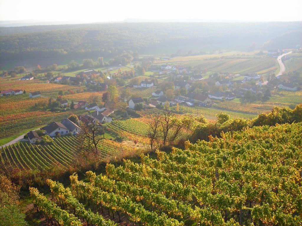 Kellerstoeckl Kamper Villa Eisenberg an der Pinka Buitenkant foto