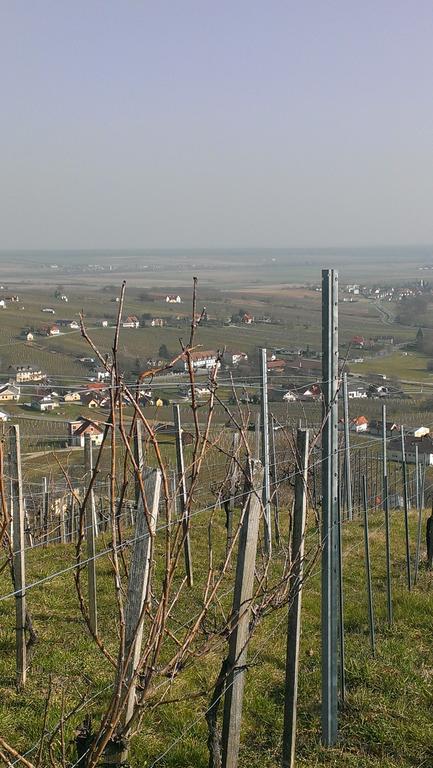 Kellerstoeckl Kamper Villa Eisenberg an der Pinka Buitenkant foto