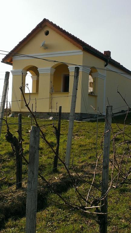 Kellerstoeckl Kamper Villa Eisenberg an der Pinka Buitenkant foto