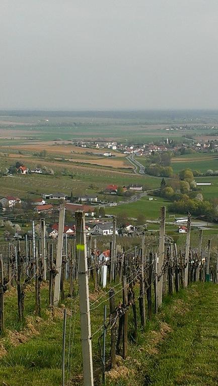 Kellerstoeckl Kamper Villa Eisenberg an der Pinka Buitenkant foto