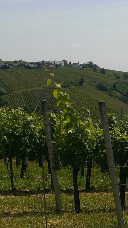 Kellerstoeckl Kamper Villa Eisenberg an der Pinka Buitenkant foto